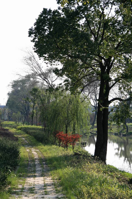 諸家河河道整治工程